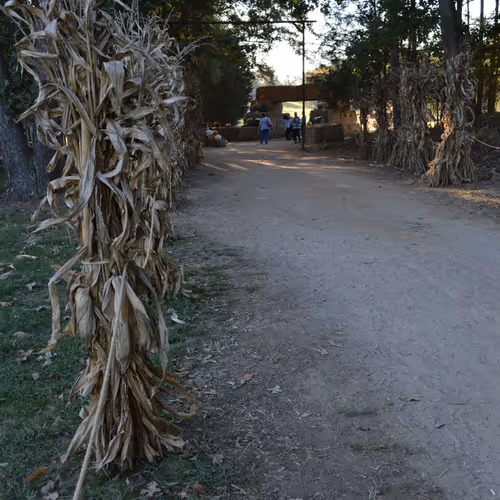 Walkway to the Fall Entrance