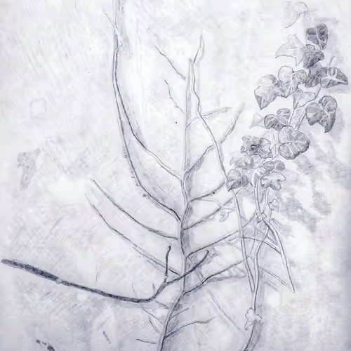 Wall - The Border sketches