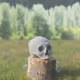 Wandering Skull - old