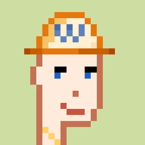 WanPunks (Polygon Matic)