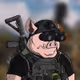 War Hogs