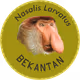 Warik Bekantan