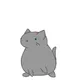 WARREN BUFFETT'S CAT