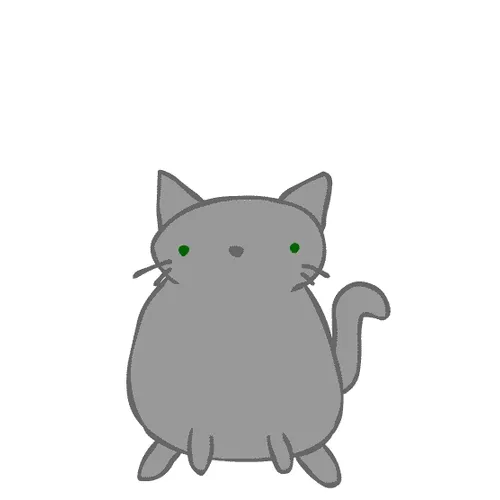 WARREN BUFFETT'S CAT