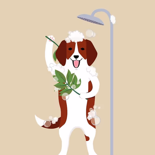 Wash away the dirt on Ninyabaat