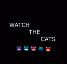 Watch the cats