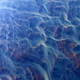 WATER +