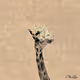 water color art items