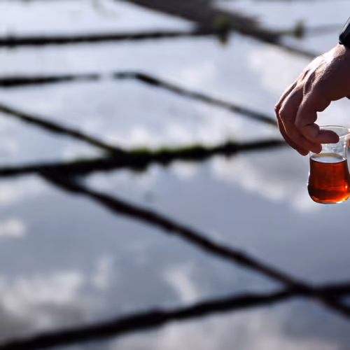 Water and Lines - old