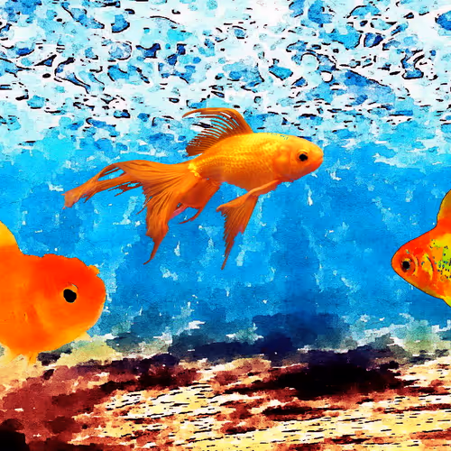 watercolor collage with fish