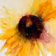 Watercolour123
