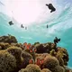waters deep