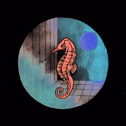 Series 1. Wave of Circle