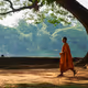 Way to Buddhism - old