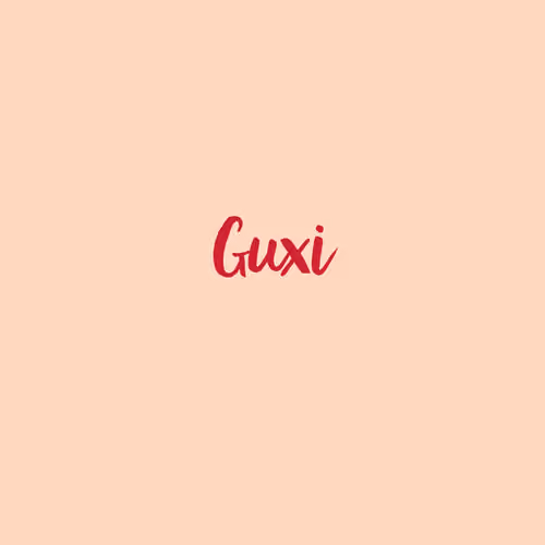 Guxi V3