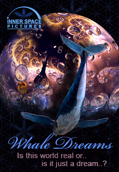 Whale Dreams Millionaire Club