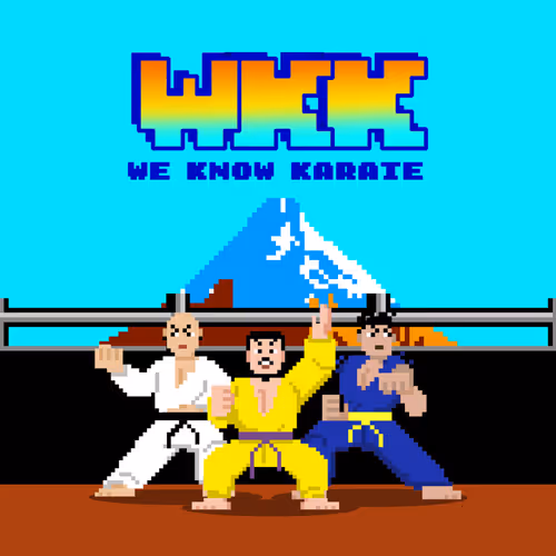 We Know Karate
