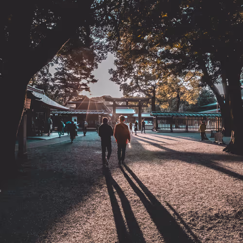 Two Weeks In Japan