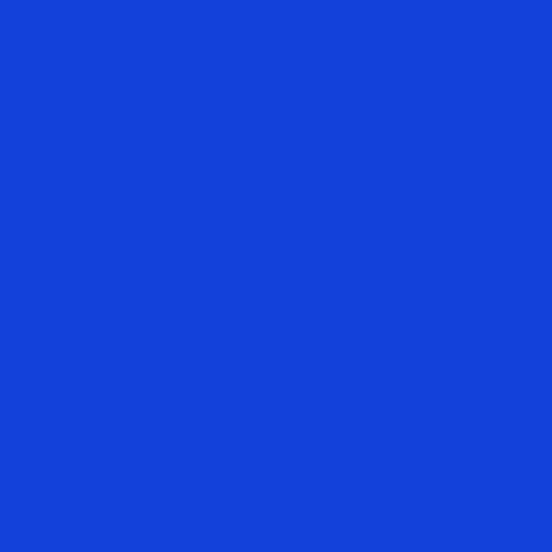 We Support The Blue