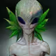 Weed Aliens