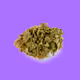 weed for monkey