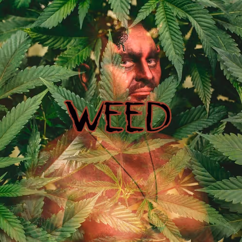 Weedaholics Anonymous - old