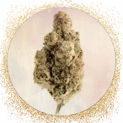 WeedShop - old