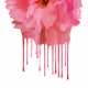 Weeping flowers