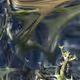 Weird Nature