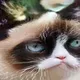 Weird Grumpy - old