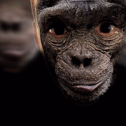 Weirdinios Collection 2 - old