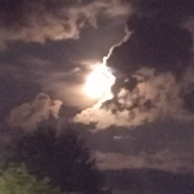 Wierd Moon Collection