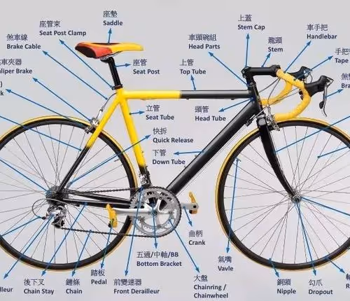 Weiso Cycling on Polygon