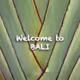 Welcome to Bali Geometry