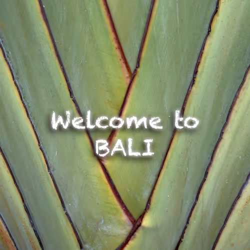 Welcome to Bali Geometry