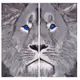 Welcome to the Lion's Den