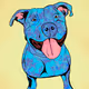 WeSaveDogs Tier 2