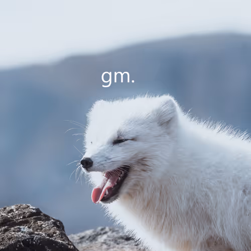 We say gm over here - old V2