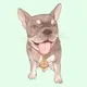 Westside French Bulldogs