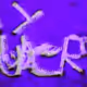 wetrails