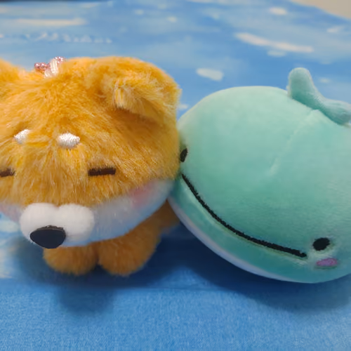 WhaleDog