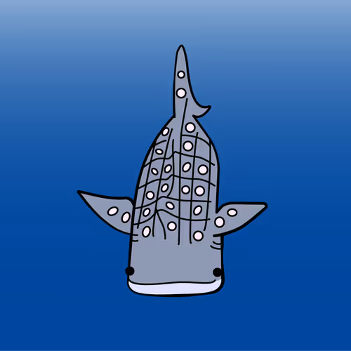 Whale Shark #