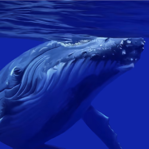 Whale song - old