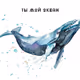 whale spirit