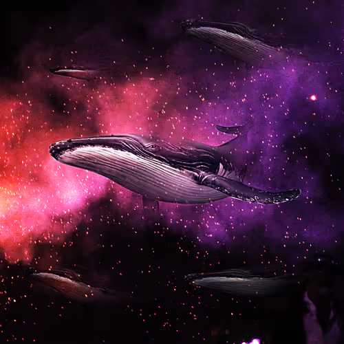 Whales of Wisdom