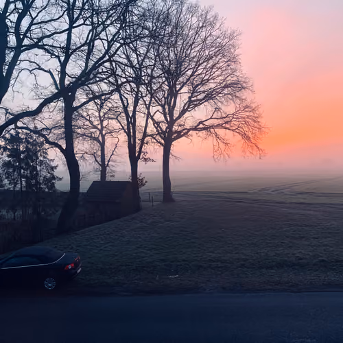 what i can see