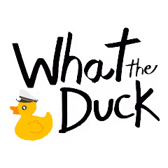 What The Duck - Crazy Ducks in Costumes ( African Children's Fund ) - old