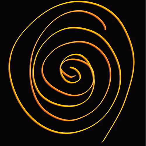 what you will present