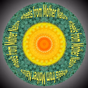 Mandalas and wheels from Mother Nature