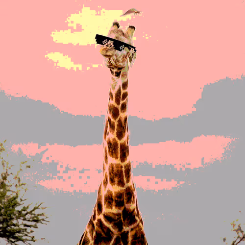 When Giraffes Smile